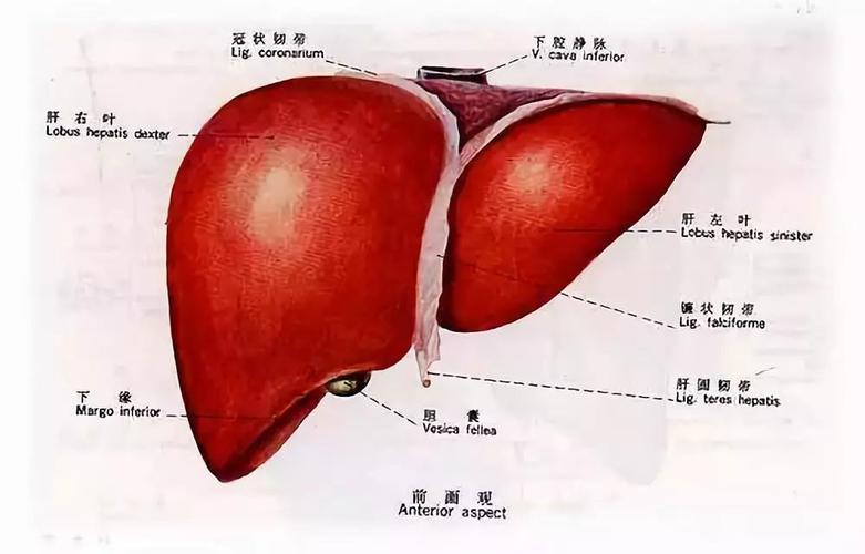 四缘是什么(下)