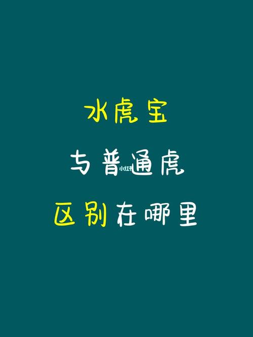 水虎和金虎哪个命好