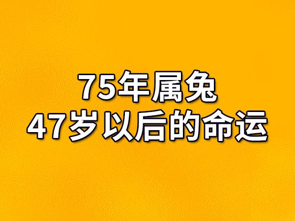 属兔人47岁有血光之灾