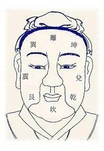 面相图解:从面相能看出你该从事什么职业吗