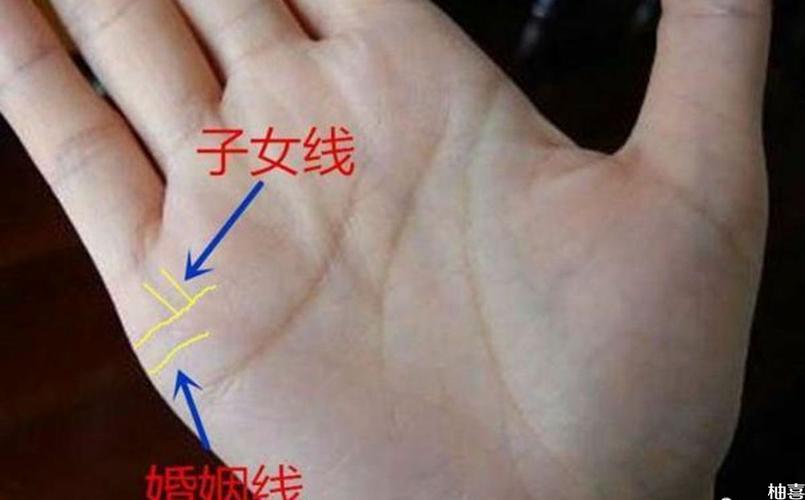 从孕妇的手相中怎么分辨是生男生女