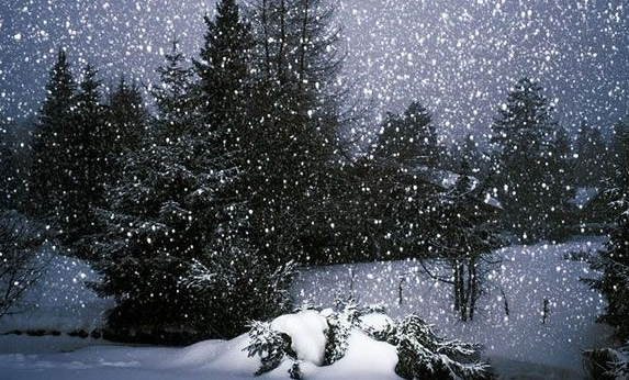 梦见雪花飘是什么征兆