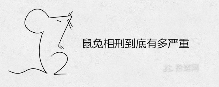 命理鼠兔相刑反而好