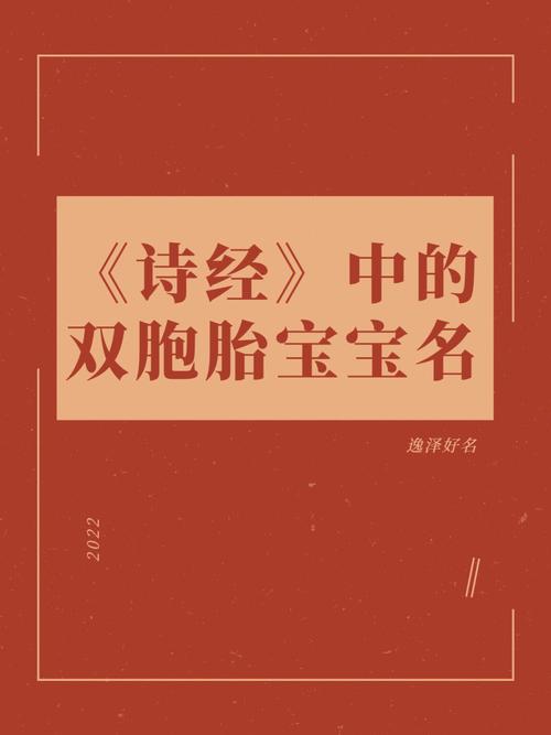 双胞胎诗经中最唯美的名字