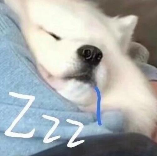 梦见绿树是什么意思