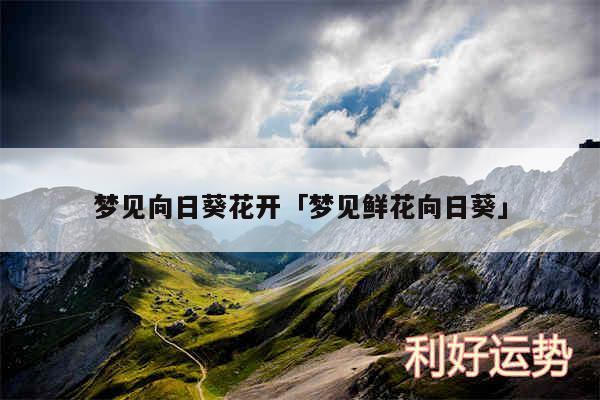 梦见一大片向日葵