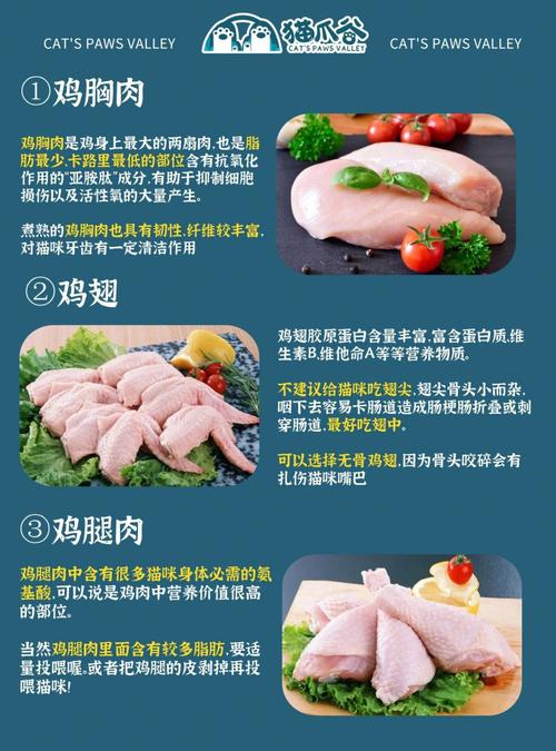 梦见杀猫 梦见杀猫杀不死是什么意思