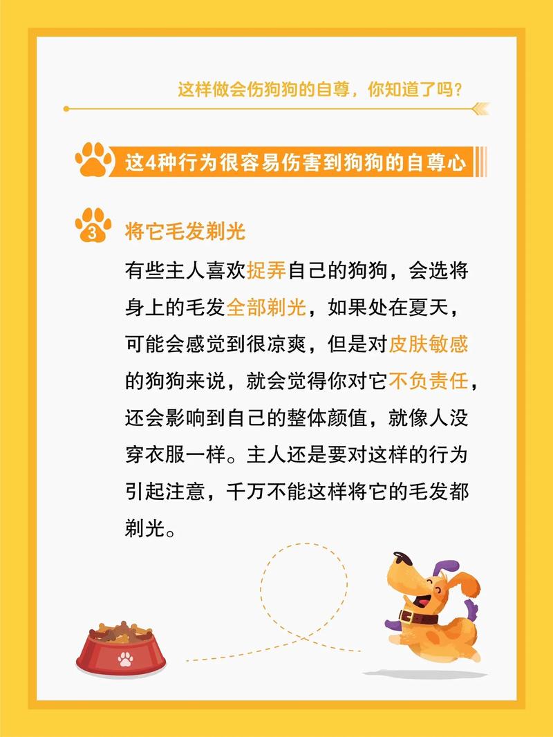 属狗男知道自己要当爸爸了的反应