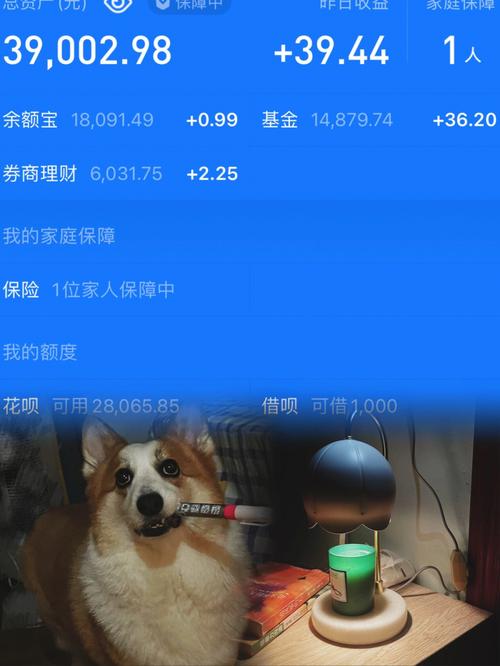 94年属狗的买房禁忌