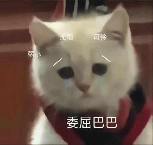 做梦梦到死人是什么意思