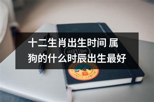 属狗的几点出生运气命