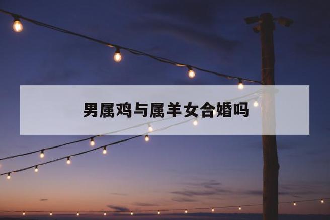 女属鸡男属羊合婚吗