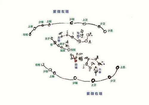 紫微星,紫微斗数之紫微星详解