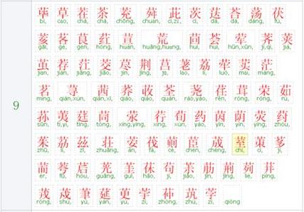 草花头好听的名字
