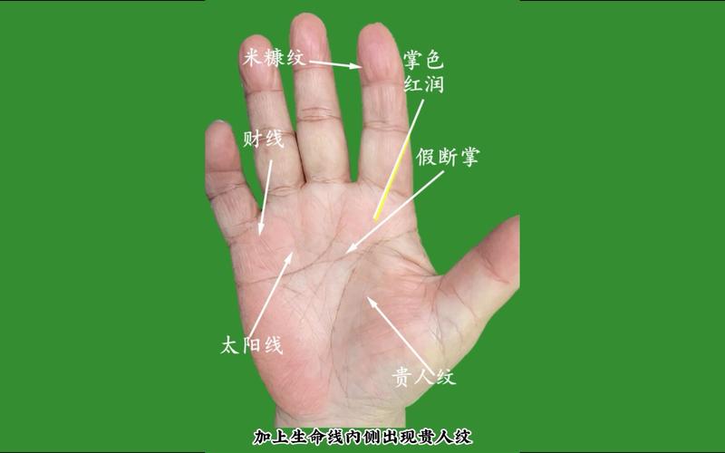 百岁老人手相是怎样的
