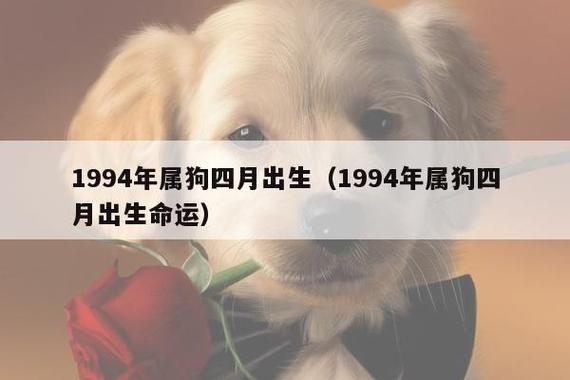 属狗4月出生是什么命