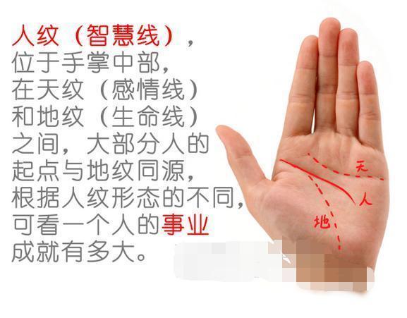 手纹测命:男人什么手相最好