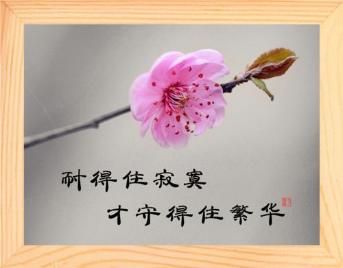 十二星座忍耐力排名,耐得住寂寞,才能守得住繁华