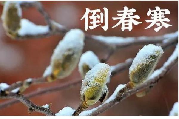 倒春寒一般是什么时候