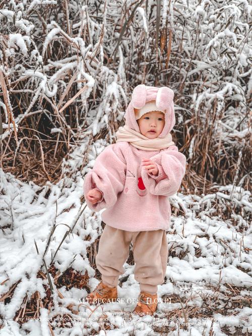 梦见雪地抓兔子