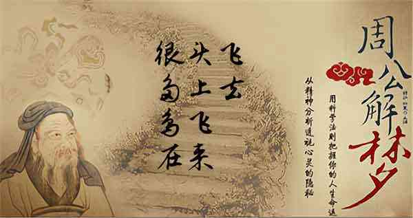 梦见有鸟飞落到头上