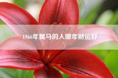 55岁1966年属马的2021年上半年运气运势