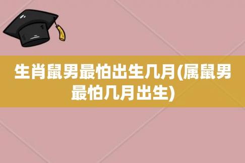 鼠命人最怕几月出生