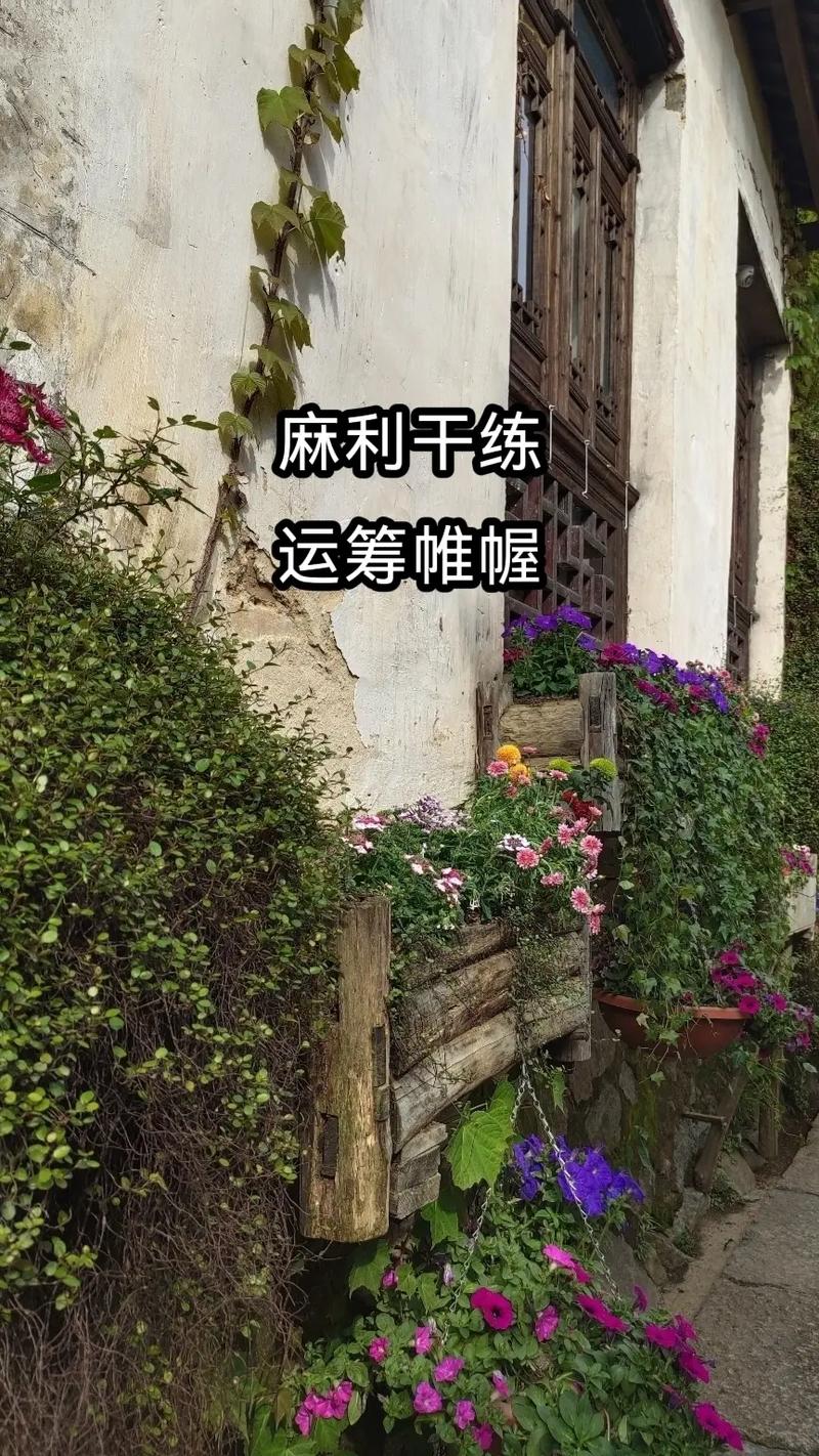 那些把家里打理的井井有条的生肖女