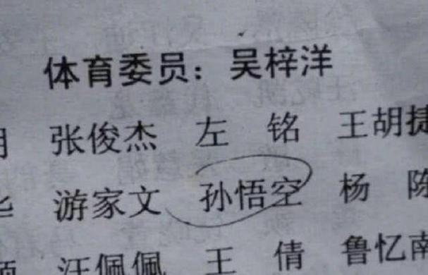 男孩带向字的名字大全