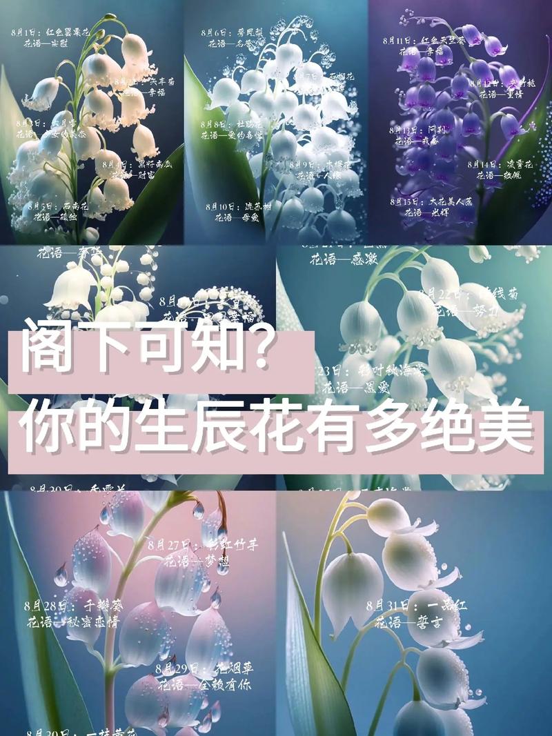 11月14日生日花语:葡萄牙月桂树,花语谈判