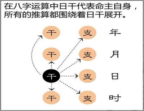 在四柱算命时从年柱上能看出哪些信息?
