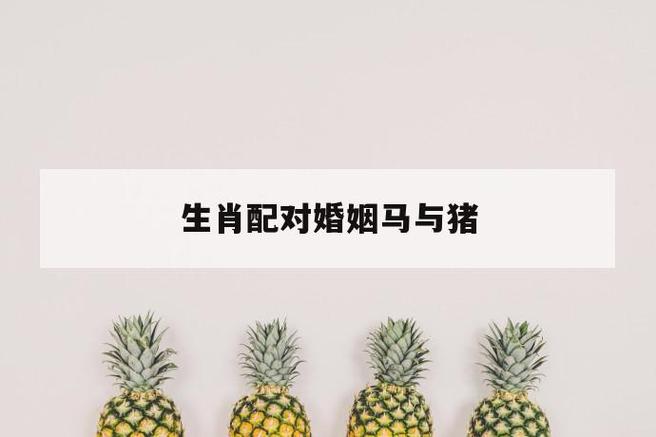 生肖配对:猪男马女生肖婚配!