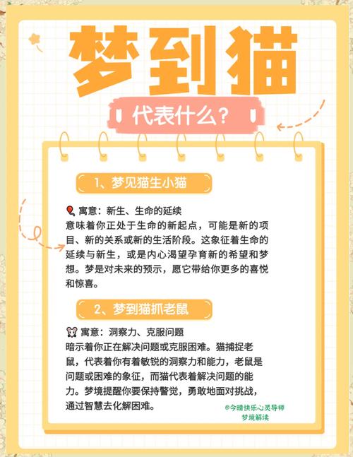 梦见小猫有什么预兆