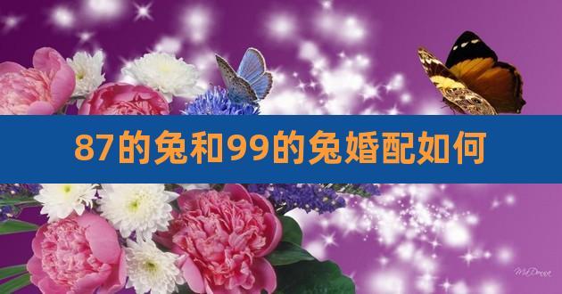 兔和什么属相配对幸福