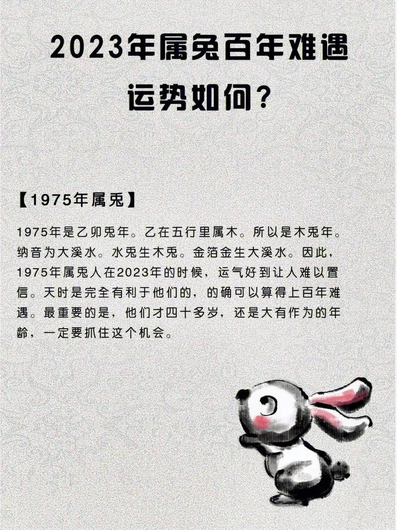 2023年属兔百年难遇是为什么