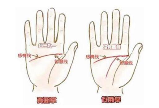 断掌纹这种手相的人,左权右财,注定能成就一番大事业