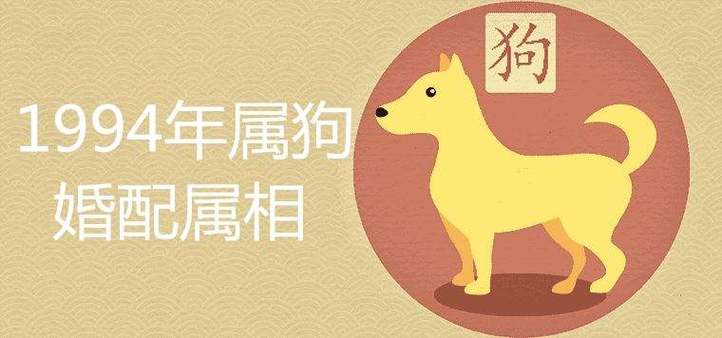 94狗配什么生肖好