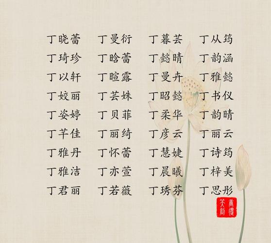 丁姓女孩五行俱全起名