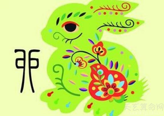 2019年属兔什么运最好