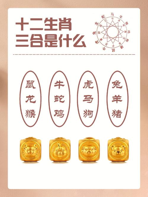 虎的三合和六个合生肖是什么
