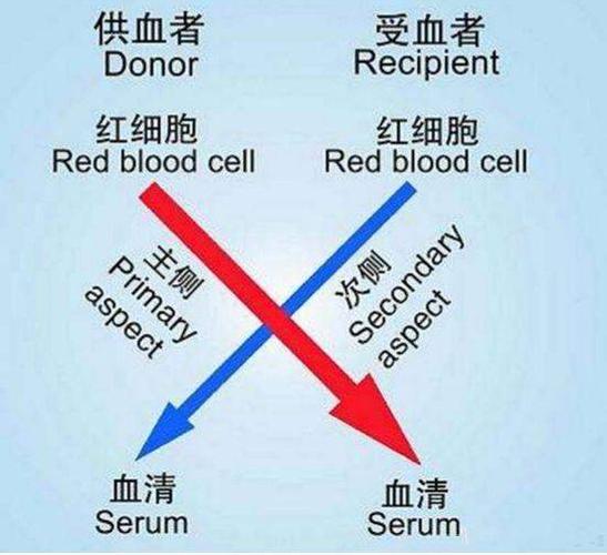 o型血为什么叫贵族血,健康又“万能”