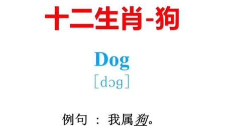 生肖狗在英语中的象征意义