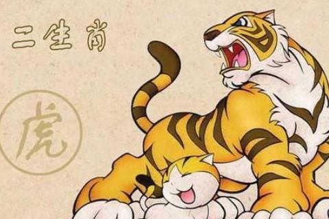 属虎男喜欢你有啥表现