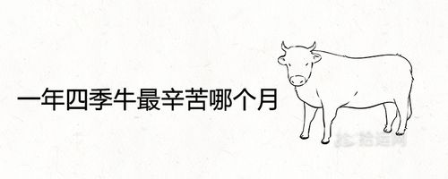 一年四季牛最辛苦那个月