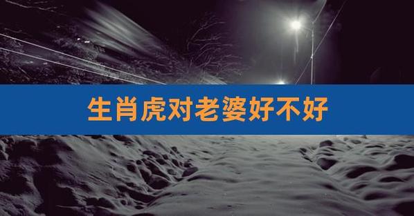 属虎的男人对老婆好吗