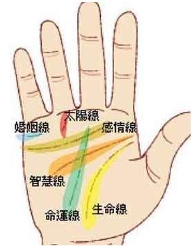智慧线透露适合你的职业