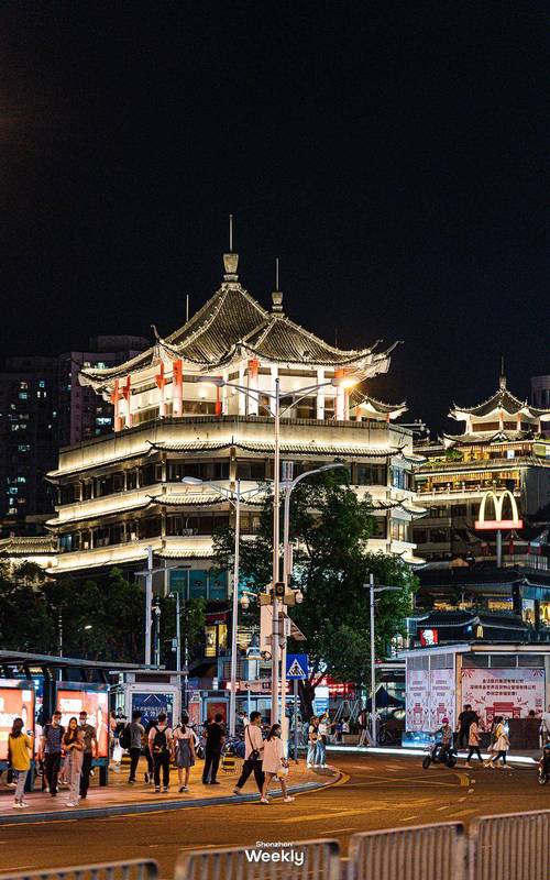 属龙的玻璃心排行榜