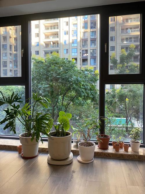 梦见过年吃团圆饭,有什么暗示