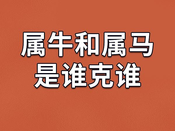 生肖属牛妈妈和生肖属马爸爸2020年适合生小孩吗,会合吗?