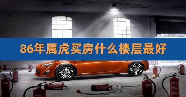 属虎的人住几楼合适